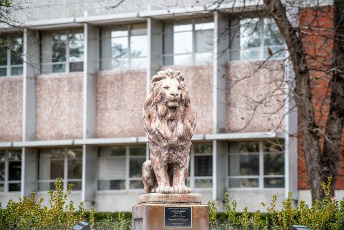 图书馆大楼前的狮子雕像.